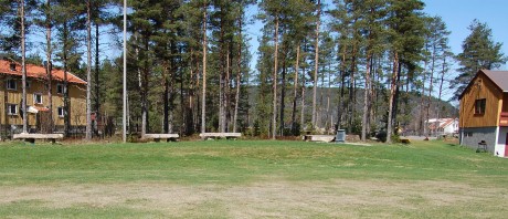 Furumoen ved Idrettsbygget som nå er borte for å gjøre plass til den nye sandvolleyballbanen ved Idrettsbygget på Evje